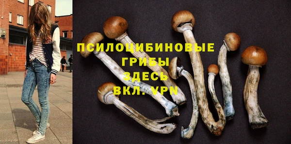 прущая мука Лихославль