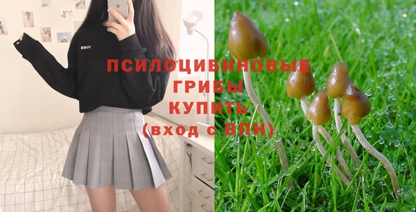 прущая мука Лихославль