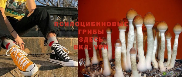 mdpv Лиски