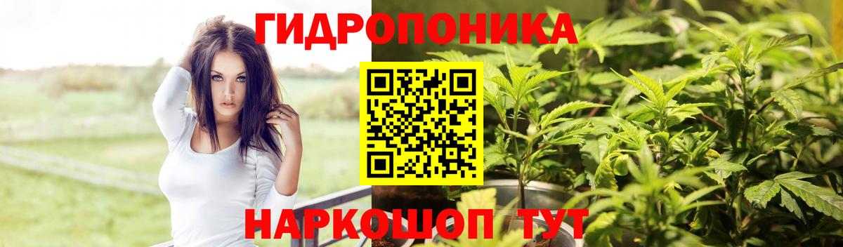 Бошки Шишки сатива Лысьва